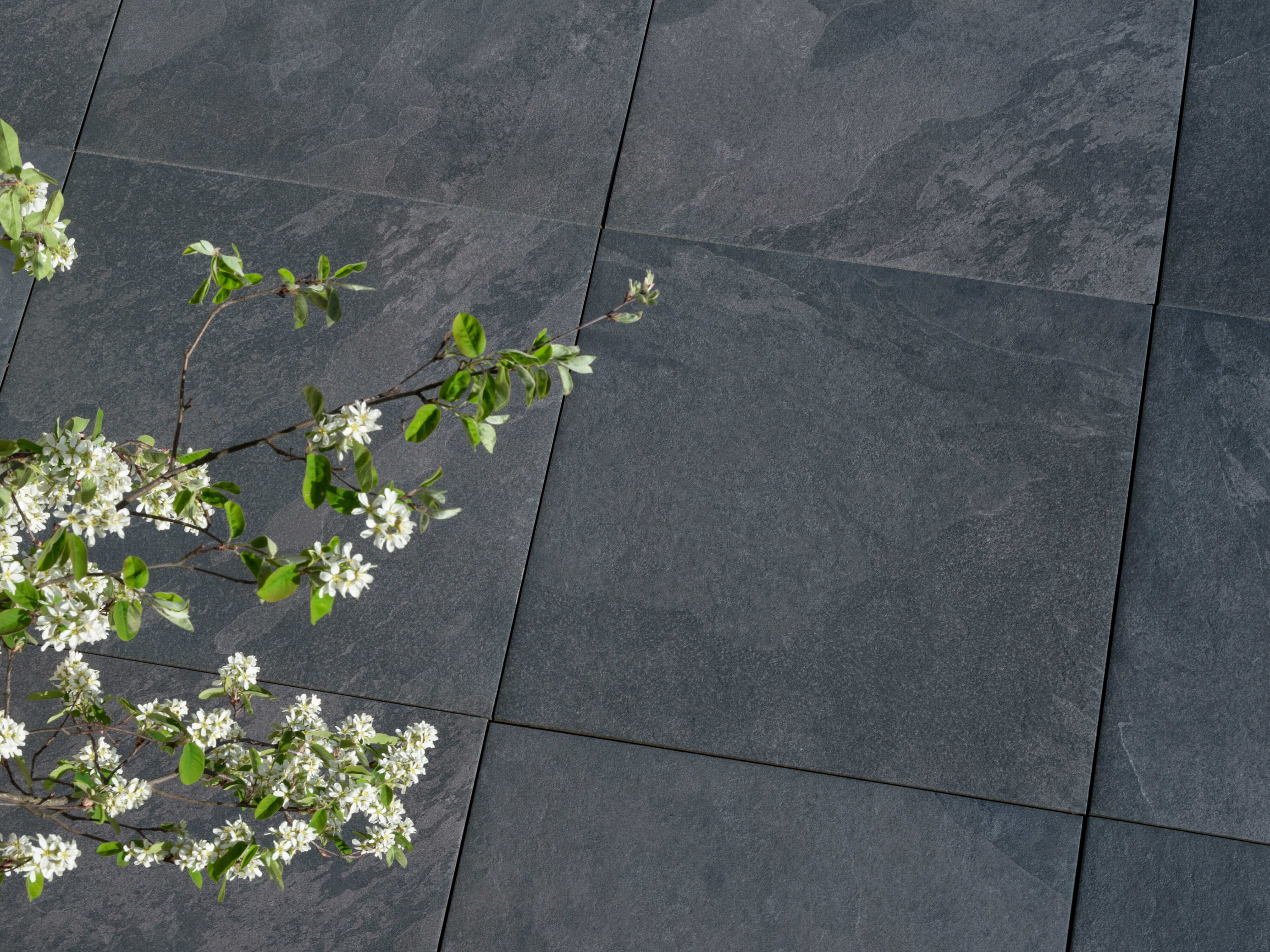 SchieferoptikPlatten Alpine Black stonenaturelle
